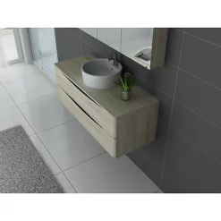 Distribain Meuble de salle de bain Terranova 1200 Scandinave