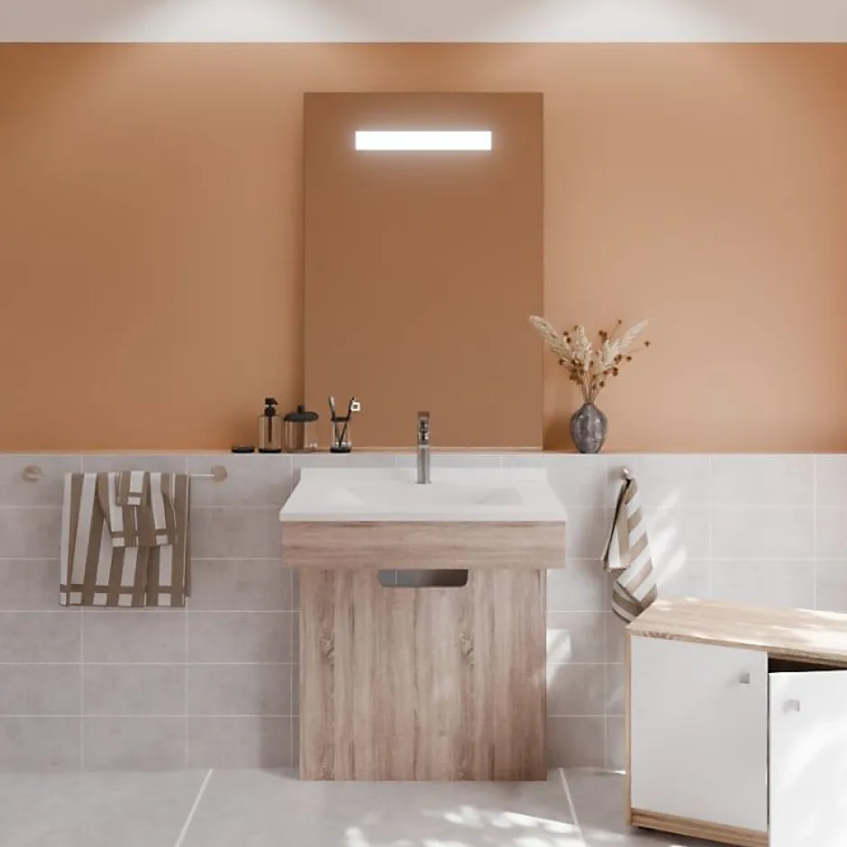 Cuisibane Meuble PMR ALTEA 70 cm avec plan vasque et miroir led ELEG Plus ht105