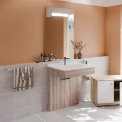 Cuisibane Meuble PMR ALTEA 70 cm avec plan vasque et miroir led ELEG Plus ht105