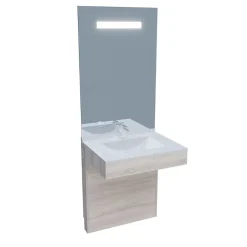 Cuisibane Meuble PMR ALTEA 70 cm avec plan vasque et miroir led ELEG Plus ht105
