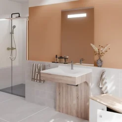 Cuisibane Meuble PMR ALTEA 70 cm avec plan vasque et miroir led ELEG Plus ht105