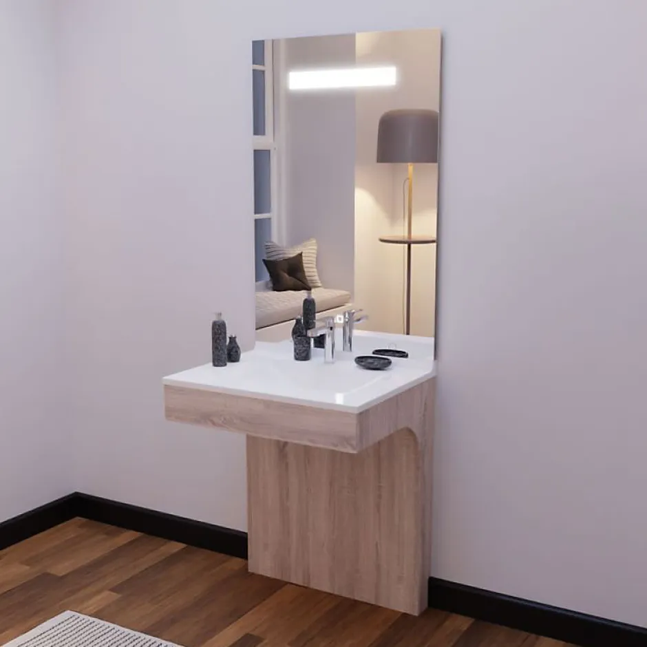 Cuisibane Meuble PMR ALTEA 70 cm avec plan vasque et miroir led ELEG Plus ht105