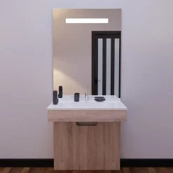 Cuisibane Meuble PMR ALTEA 70 cm avec plan vasque et miroir led ELEG Plus ht105