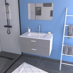 Aurlane Meuble salle de bain 80 cm suspendu 2 tiroirs Gris avec vasque et miroir - BOX-IN