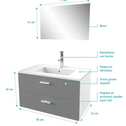 Aurlane Meuble salle de bain 80 cm suspendu 2 tiroirs Gris avec vasque et miroir - BOX-IN