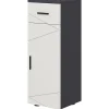ProximaX Meuble salle de bain gris, armoire d'appoint avec tiroir et étagères réglables, meuble de rangement, idéal salle de bain ou salon