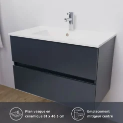 Cuisibane Meuble salle de bain suspendu 80 cm ROSALY- Gris- Plan vasque en Céramique