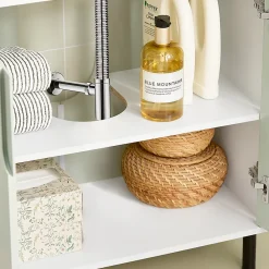 Sobuy Meuble sous Lavabo Salle de Bain, Meuble sous Vasque avec 2 Portes, , BZR139-GR* Meuble Sous Lavabo