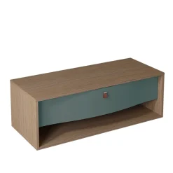 Decotec Meuble sous vasque suspendu vert toundra mat 1 tiroir l.120 x H.40 x P.50 cm, Havana* Meuble Buanderie