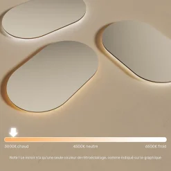Artforma Miroir avec LED Illumination Salle de Bain (50x80cm) LED Lumineux Miroir avec Éclairage (TST106) Blanc Chaud 3000K* Miroir Lumineux