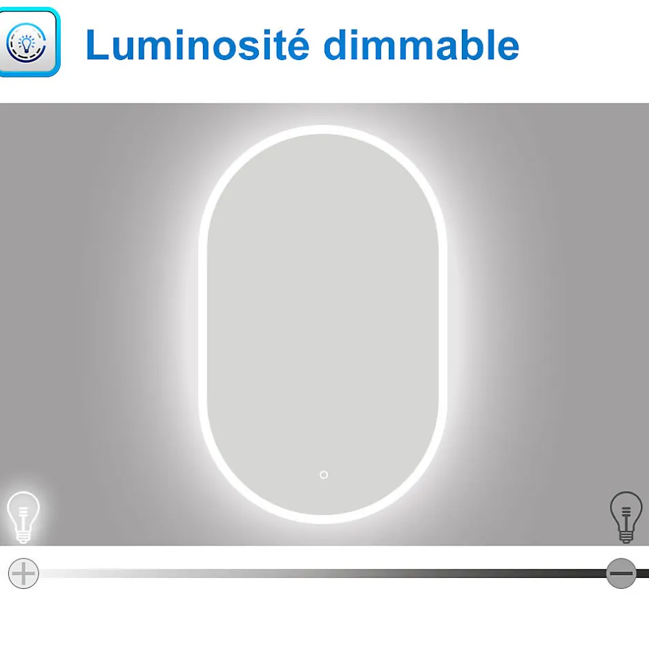 AICA Sanitaire Miroir de salle de bain ovale 60x100 cm, anti-buée + mémoire + dimmable,* Miroir Lumineux