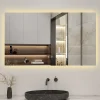 AICA Sanitaire Miroir de salle de bain rétro-éclairé sans cadre 80x60cm, Tricolore + Anti-buée + Mémoire + Dimmable,* Miroir Lumineux