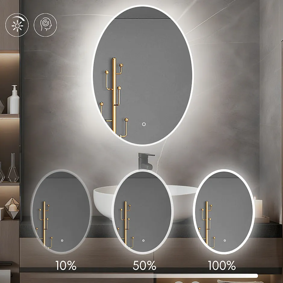 Saniland Miroir ovale LED 50x70 cm lumière dimmable 2700 6000 K, zone anti-buée et minuterie 60 min* Miroir Lumineux