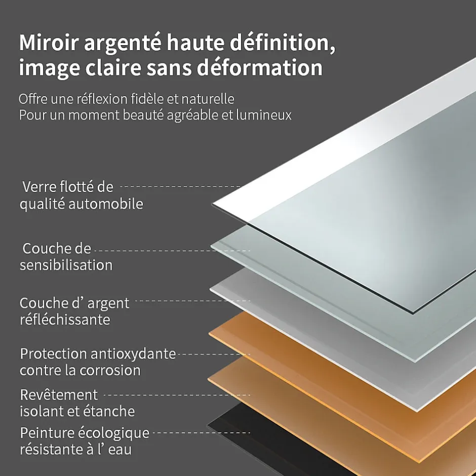 Saniland Miroir ovale LED 50x70 cm lumière dimmable 2700 6000 K, zone anti-buée et minuterie 60 min* Miroir Lumineux