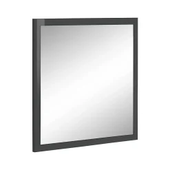 Dmora Miroir Rino, Miroir de salle de bain, 100% Made in Italy, 60x2h60 cm, Anthracite Brillant