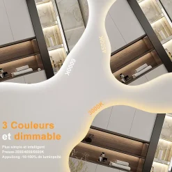 AICA Sanitaire Miroir salle de bain asymétrique 100 x 66 cm LED Éclairage réglable en 3 couleurs + anti-buée + fonction mémoire* Miroir Lumineux