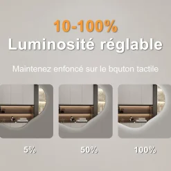 AICA Sanitaire Miroir salle de bain asymétrique 100 x 66 cm LED Éclairage réglable en 3 couleurs + anti-buée + fonction mémoire* Miroir Lumineux