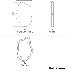 AICA Sanitaire Miroir salle de bain asymétrique 100 x 66 cm LED Éclairage réglable en 3 couleurs + anti-buée + fonction mémoire* Miroir Lumineux