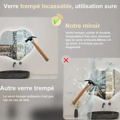 AICA Sanitaire Miroir salle de bain asymétrique 60 x 50 cm LED Éclairage réglable en 3 couleurs + anti-buée + mémoire* Miroir Lumineux