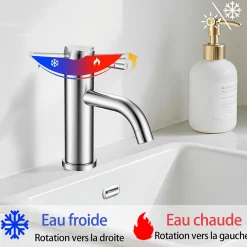 AICA Sanitaire Mitigeur acier inoxydable 304, pour cuisine/salle de bain/lavabo/toilettes invités, avec tuyau, eau chaude/froide, argent* Robinet Lavabo Et Vasque