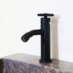Essebagno Mitigeur bidet noir Indus