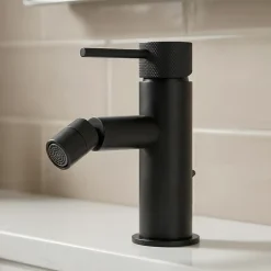 GoodHome Mitigeur de bidet monotrou avec mousseur orientable, noir mat, Owens