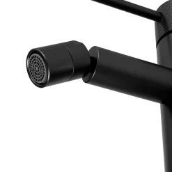 GoodHome Mitigeur de bidet monotrou avec mousseur orientable, noir mat, Owens