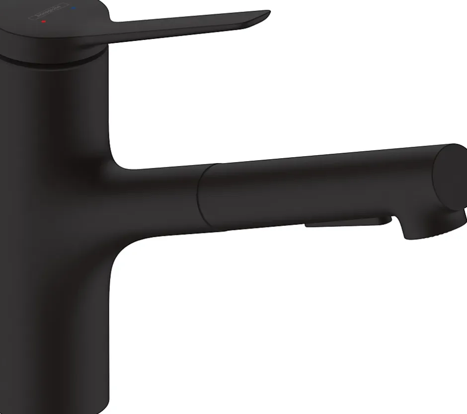 Hansgrohe Mitigeur de cuisine avec douchette noir mat Zesis M33 H. 219mm* Evier Et Robinet De Buanderie