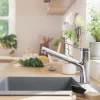Hansgrohe Mitigeur de cuisine avec douchette extractible chromé Zesis M33 H. 219mm* Evier Et Robinet De Buanderie