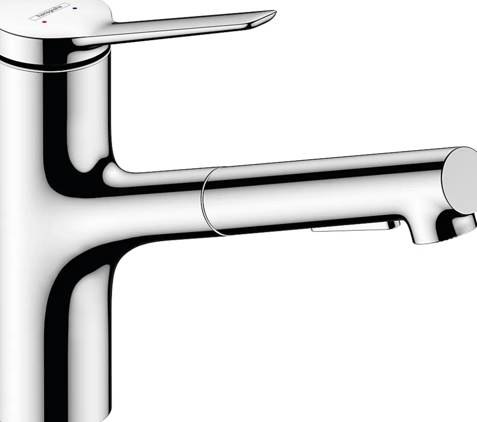 Hansgrohe Mitigeur de cuisine avec douchette extractible chromé Zesis M33 H. 219mm* Evier Et Robinet De Buanderie