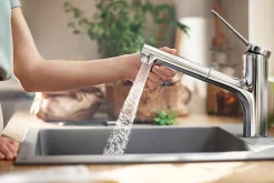 Hansgrohe Mitigeur de cuisine avec douchette extractible chromé Zesis M33 H. 219mm* Evier Et Robinet De Buanderie