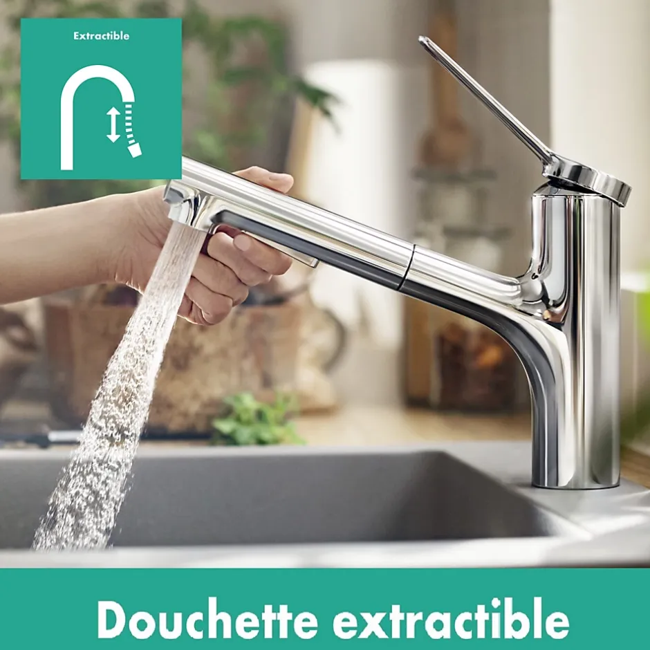 Hansgrohe Mitigeur de cuisine avec douchette extractible chromé Zesis M33 H. 219mm* Evier Et Robinet De Buanderie
