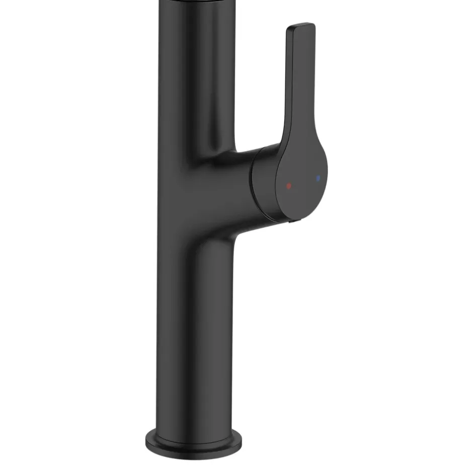 GoodHome Mitigeur de cuisine avec douchette noir Arbane