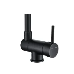GoodHome Mitigeur de cuisine rabattable noir mat Deltana