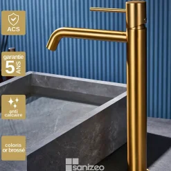 Imex Mitigeur de Lavabo Anti-Calcaire Bec Haut Or Brossé MONZA BDM039-3OC