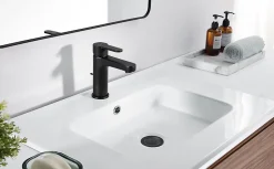 Cecipa Max Mitigeur de lavabo avec Tirette de Vidage, Bonde Incluse, Auralum Max Robinet Salle de Bain Noir Robinetterie en Laiton* Robinet Lavabo Et Vasque