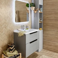 Hansgrohe Mitigeur de lavabo chromé Ecos L