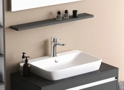 Edouard Rousseau Mitigeur de lavabo mécanique inox, Onabi* Robinet Lavabo Et Vasque