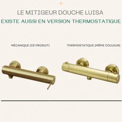 Essebagno Mitigeur douche mécanique or brossé Luisa* Robinet De Douche