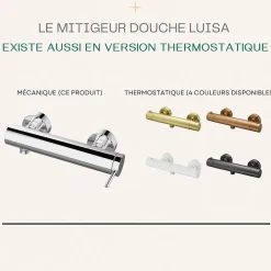 Essebagno Mitigeur douche mécanique chrome Luisa