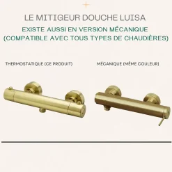 Essebagno Mitigeur douche thermostatique Or brossé Luisa* Robinet De Douche