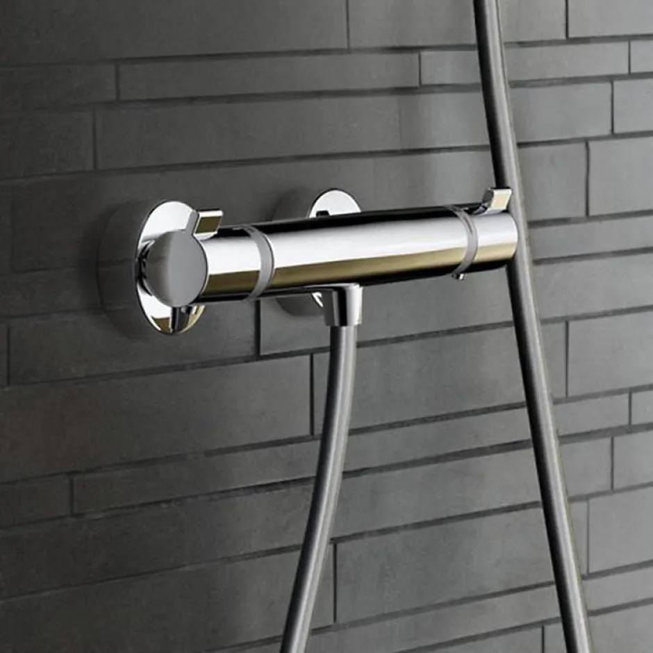Hansgrohe Mitigeur douche thermostatique Ecostat Comfort chromé