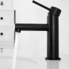 Cecipa Max Mitigeur Lavabo, Robinet Lavabo ,Robinet de Salle Bain à économie d'eau Monocommande avec Aérateur Démotable, Noir* Robinet Lavabo Et Vasque