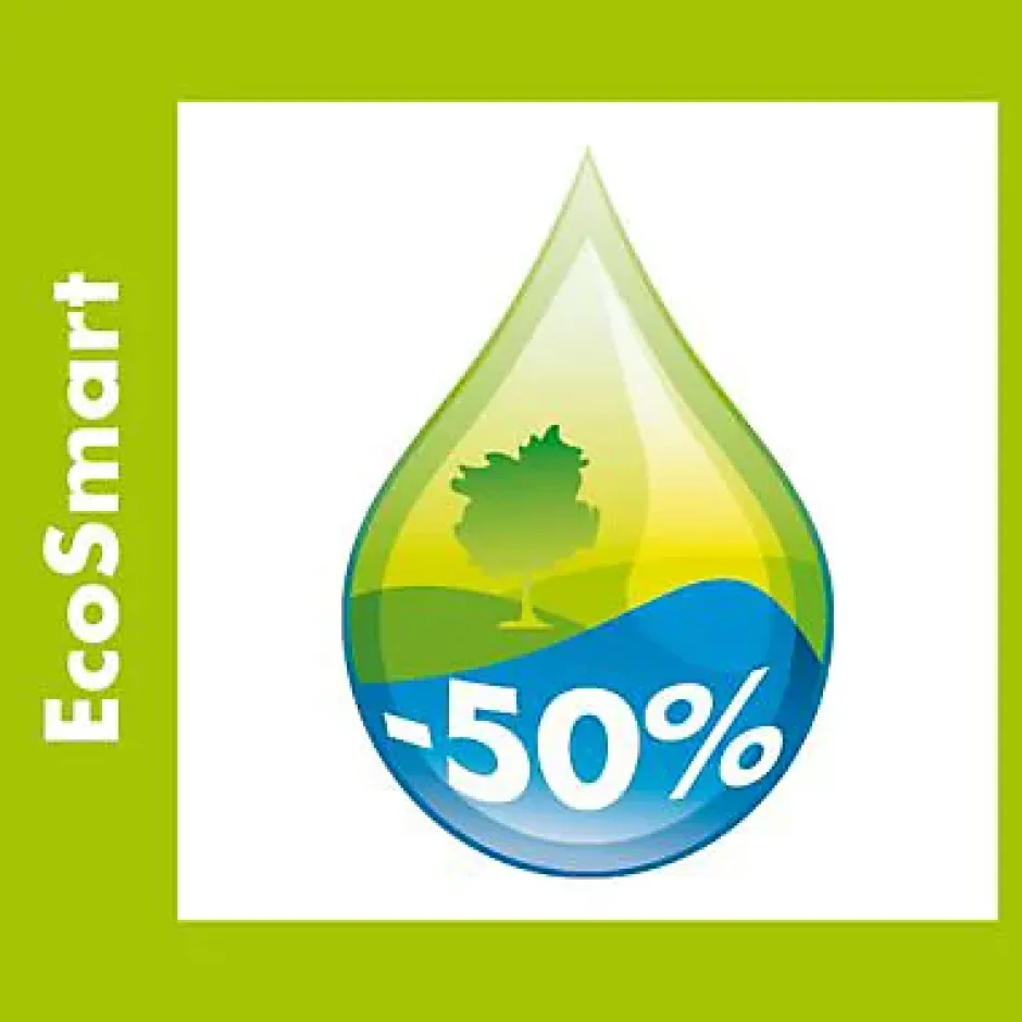 Hansgrohe Mousseur Ecosmart Femelle 22 x 100 lot de 2
