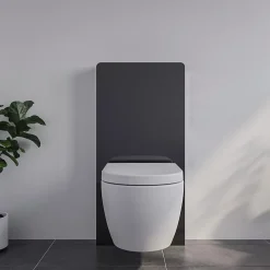 Bernstein Pack complet WC suspendu Blanc 36x55x33cm (LxPxH) + Module sanitaire Noir 48x11x100xm (LxPxH) - Garantie 5 ans* Wc Suspendu