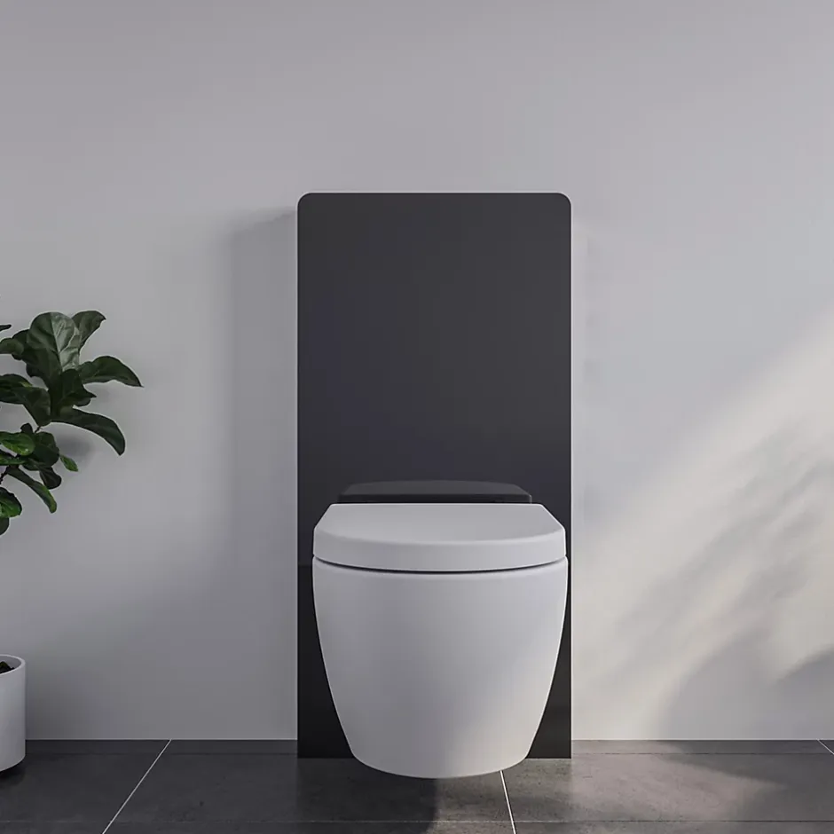 Bernstein Pack complet WC suspendu Blanc 36x55x33cm (LxPxH) + Module sanitaire Noir 48x11x100xm (LxPxH) - Garantie 5 ans* Wc Suspendu
