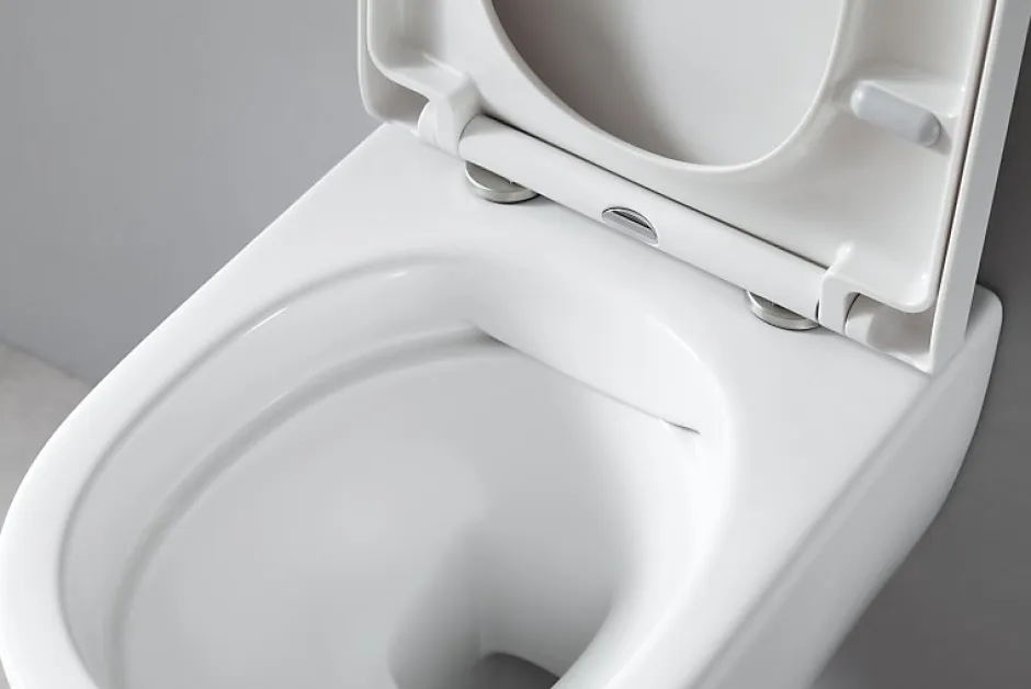 Bernstein Pack complet WC suspendu Blanc 36x55x33cm (LxPxH) + Module sanitaire Noir 48x11x100xm (LxPxH) - Garantie 5 ans* Wc Suspendu