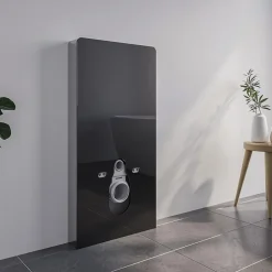 Bernstein Pack complet WC suspendu Blanc 36x55x33cm (LxPxH) + Module sanitaire Noir 48x11x100xm (LxPxH) - Garantie 5 ans* Wc Suspendu