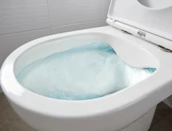 GoodHome Pack WC à poser sans bride avec sortie horizontale Cavally NF