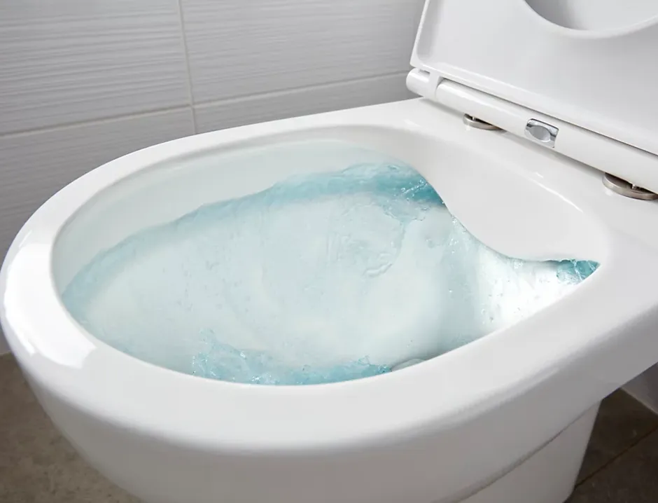 GoodHome Pack WC à poser sans bride avec sortie horizontale Cavally NF